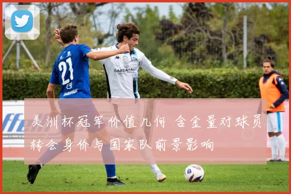 美洲杯冠军价值几何 含金量对球员转会身价与国家队前景影响