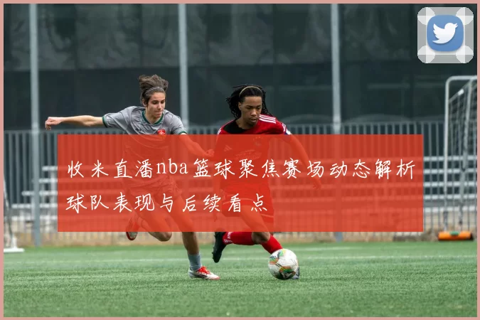 收米直潘nba篮球聚焦赛场动态解析球队表现与后续看点