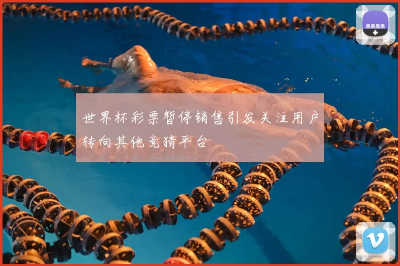 世界杯彩票暂停销售引发关注用户转向其他竞猜平台