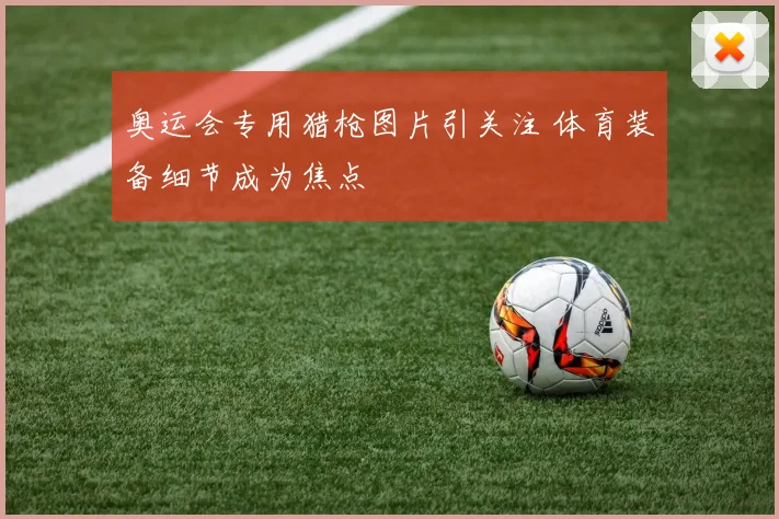 奥运会专用猎枪图片引关注 体育装备细节成为焦点