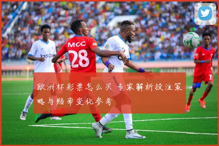 欧洲杯彩票怎么买 专家解析投注策略与赔率变化参考