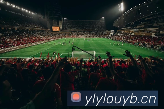 App Interface Preview